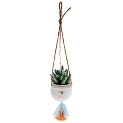 Karma Gifts 2 In. H X 3 In. W X 2 In. L Multicolored Ceramic Hanging Succulent Pot