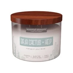 Candle-Lite Essential Elements White Baja Cactus/Kelp Scent Candle 14.75 Oz
