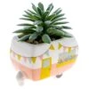 Karma Gifts 2 In. H X 2 In. W X 2 In. L Multicolored Ceramic Succulent Pot