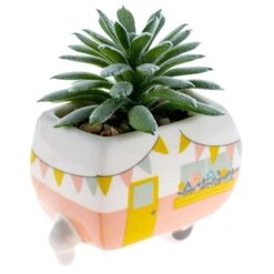Karma Gifts 2 In. H X 2 In. W X 2 In. L Multicolored Ceramic Succulent Pot