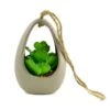 Touch Of Nature 5.75 In. H X 2 In. W X 2 In. L Green Ceramic Succulent In Hanging 2 Touch Of Nature 5.75 In. H X 2 In. W X 2 In. L Green Ceramic Succulent In Hanging -Umbra || Yankee Candle Sales 7b94ac9d ade6 477b 9243 9fdade3084a9