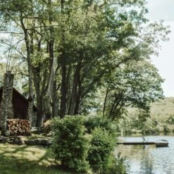 Finding Home Farms White Cabin Scent Candle 7.5 Oz -Umbra || Yankee Candle Sales c8d5122f c382 4616 a5eb e1241c899f55