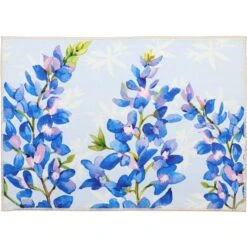 Olivia's Home 32 In. W X 22 In. L Multicolored Blue Bonnets Polyester Accent Rug