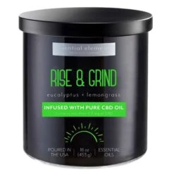 Candle-Lite Essential Elements White Eucalyptus/Lemongrass Scent Candle 16 Oz