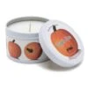 Primal Elements White/Orange Pumpkin Spice Scent Tin Can Candle -Umbra || Yankee Candle Sales f833ad1b f557 4a93 aec7 3d30e9d3b03e